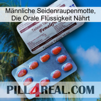 Männliche Seidenraupenmotte, Die Orale Flüssigkeit Nährt 36